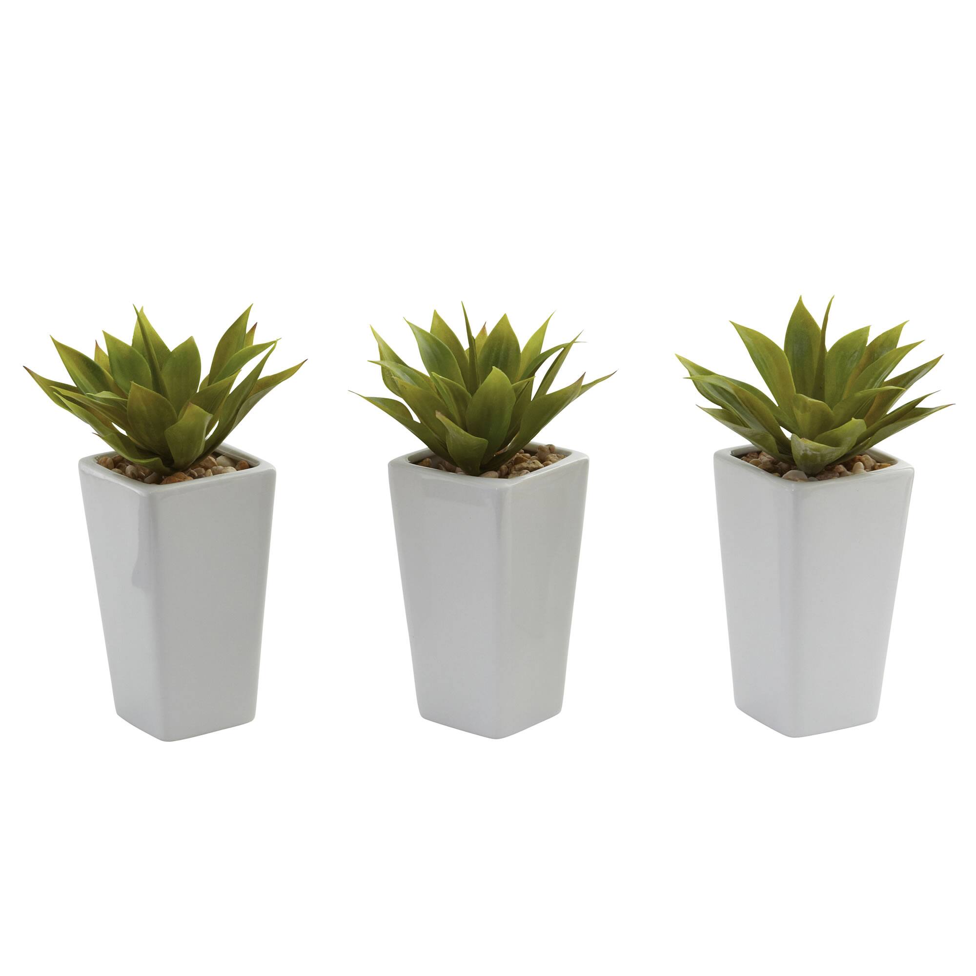 9" Mini Agave Arrangement in White Planter, 3ct.